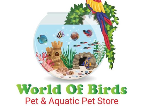World Of Birds 